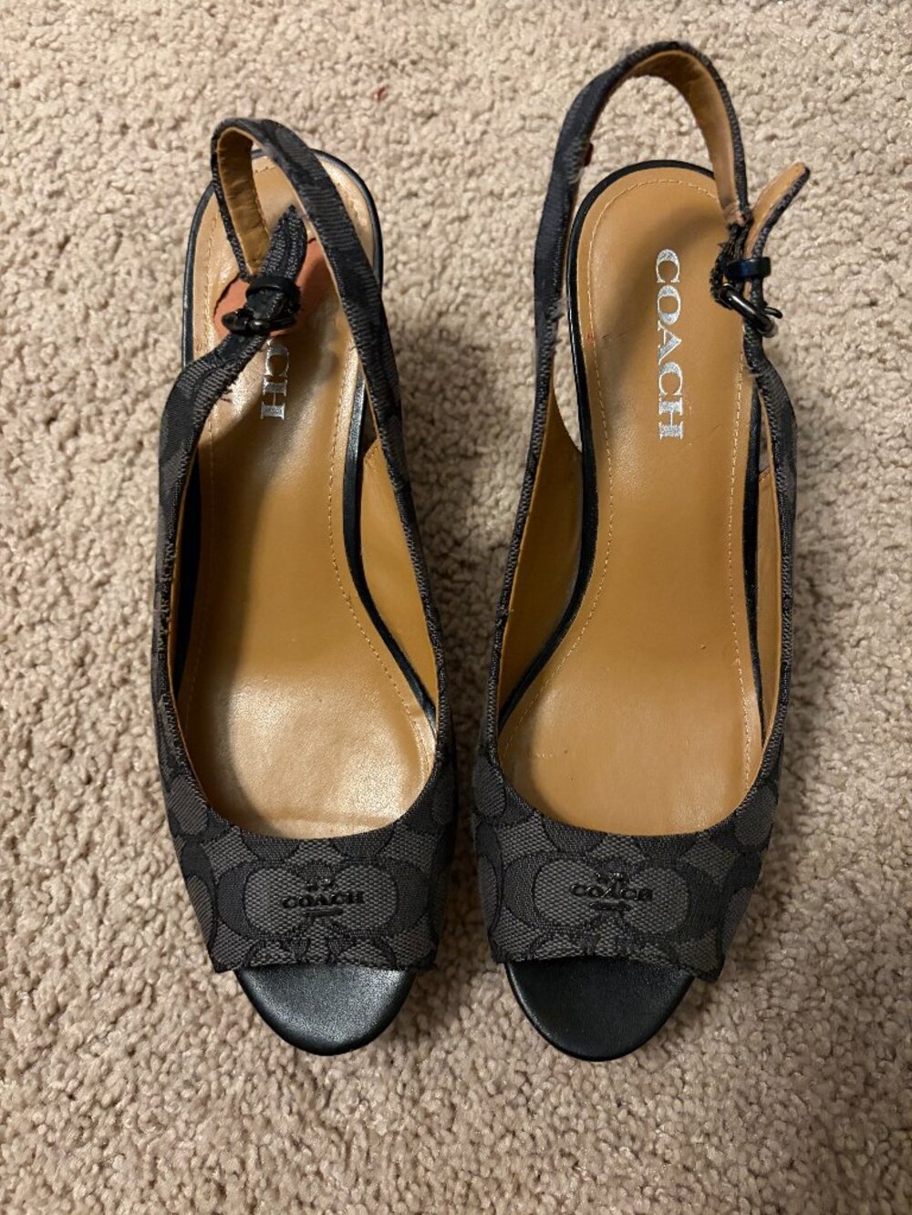 Bluish Blackish Vintage Coach Summer Wedges Spring Y2K Size 9